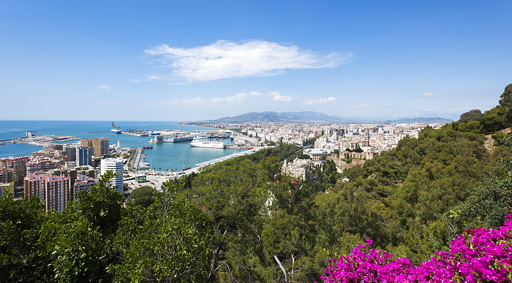 Malaga, province of Malaga, Andalusia, Spain, Europe