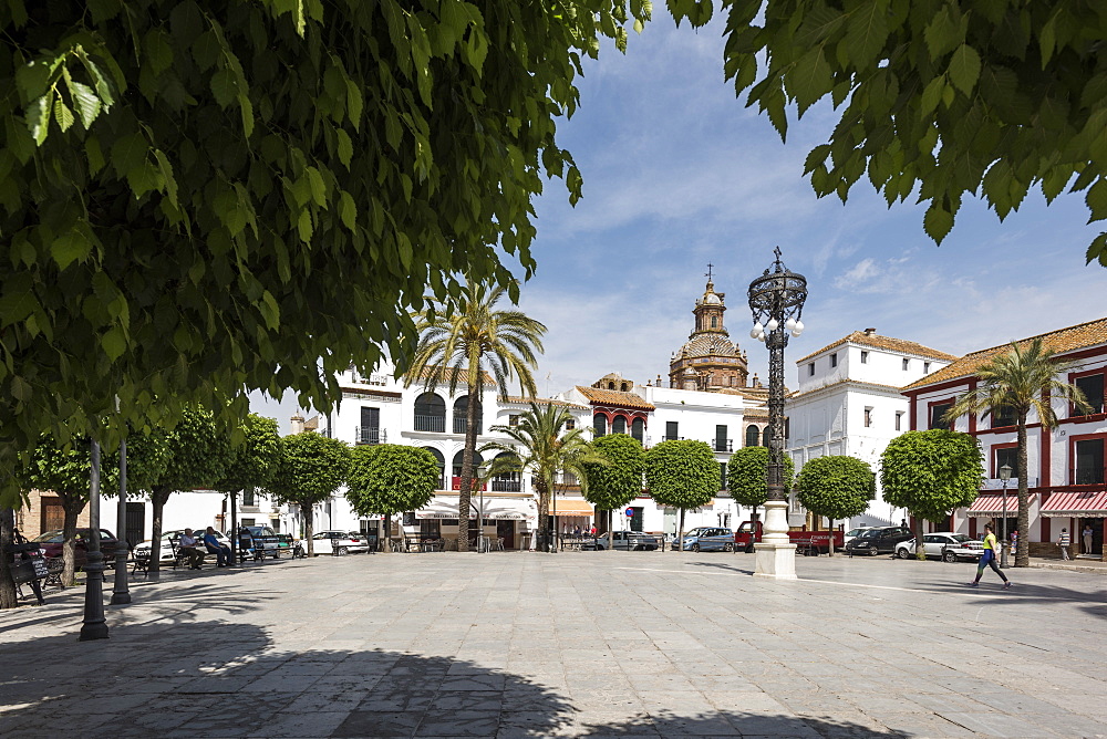 Plaza San Fernando, Carmona, province of Seville, Andalusia, Spain, Europe