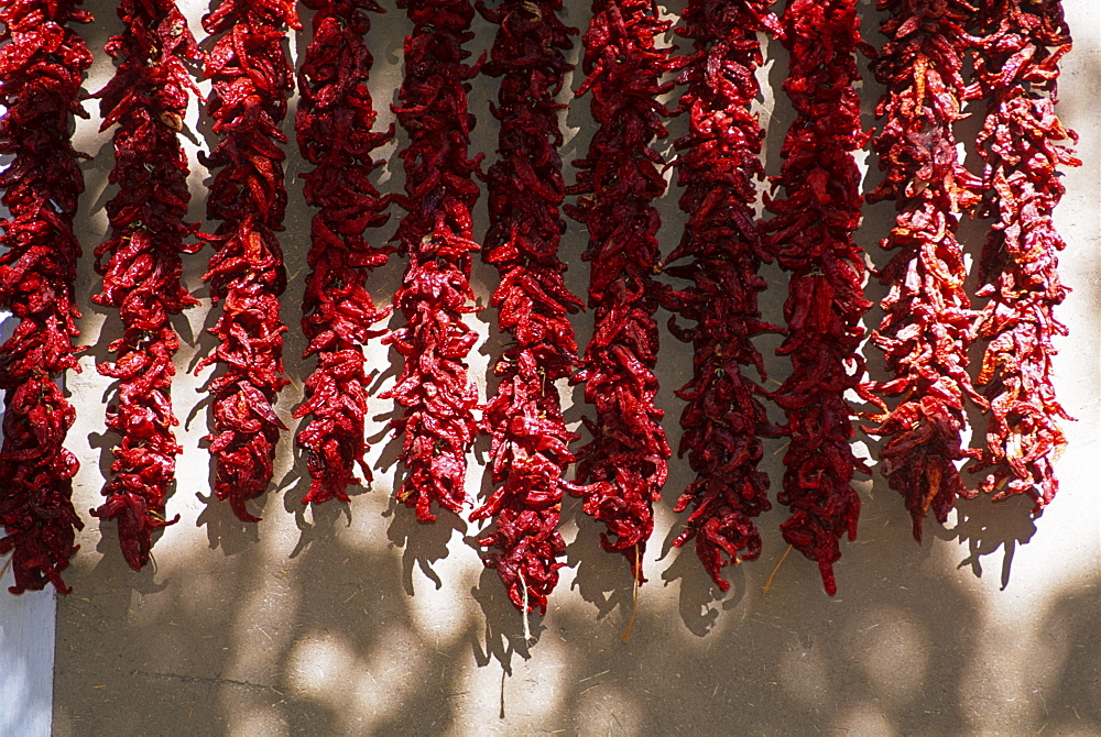 Chili ristras, Chimayo, New Mexico, United States of America, North America