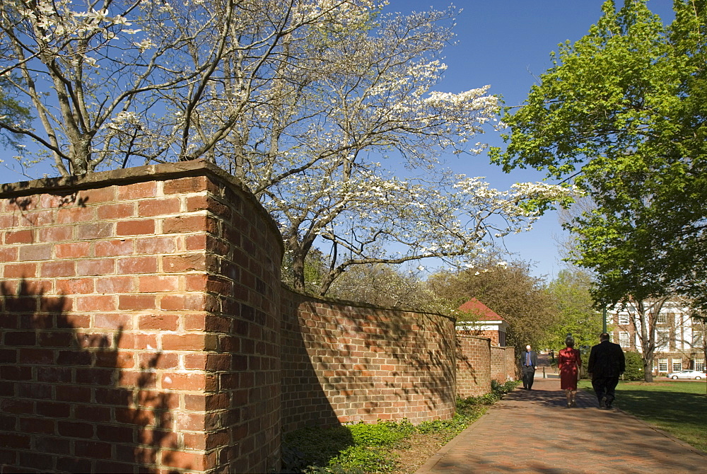 University of Virginia, Charlottesville, Virginia, United States of America, North America