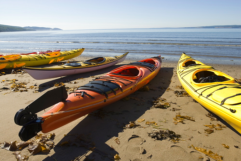 Gaspe, Gaspe peninsula, province of Quebec, Canada, North America