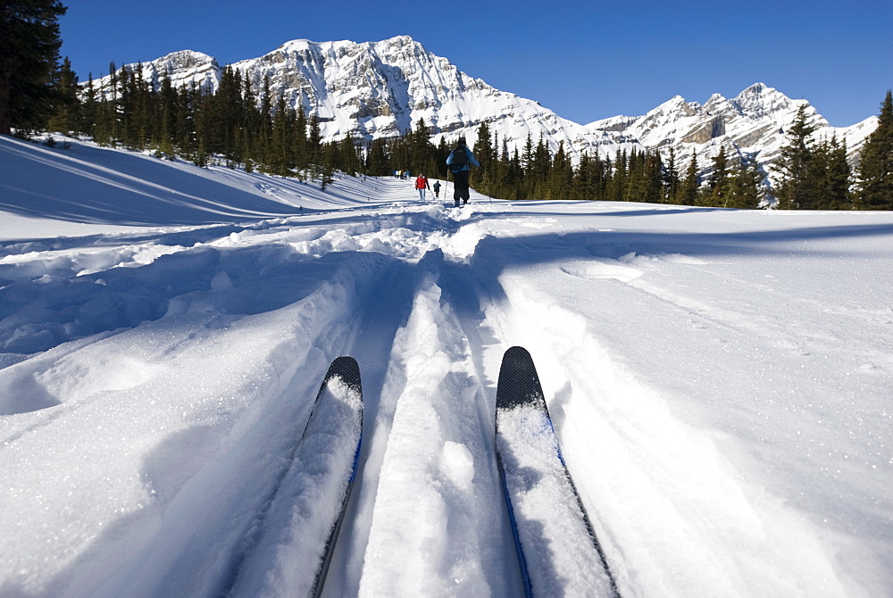 Bow Summit, Banff National Park, UNESCO World Heritage Site, Rocky Mountains, Alberta, Canada, North America