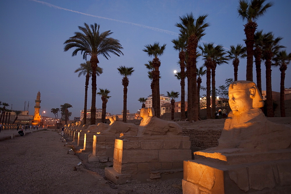 Temple at Luxor, Thebes, UNESCO World Heritage Site, Egypt, North Africa, Africa