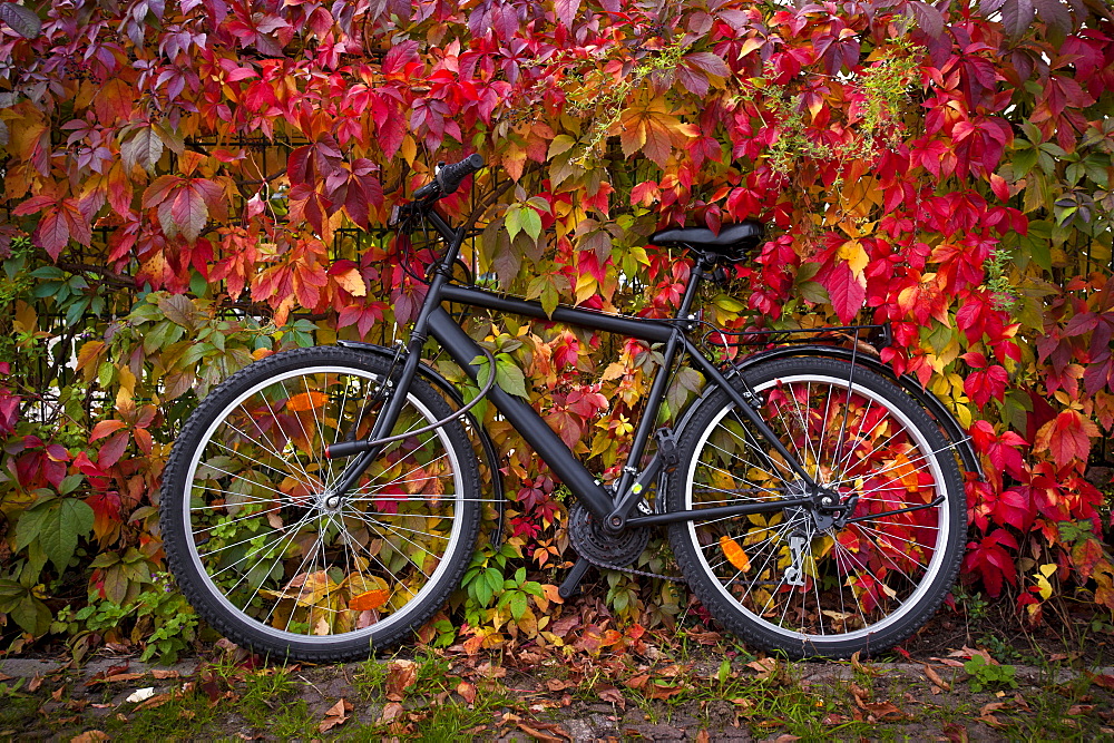 Bicycle, Leipzig, Saxony, Germany, Europe