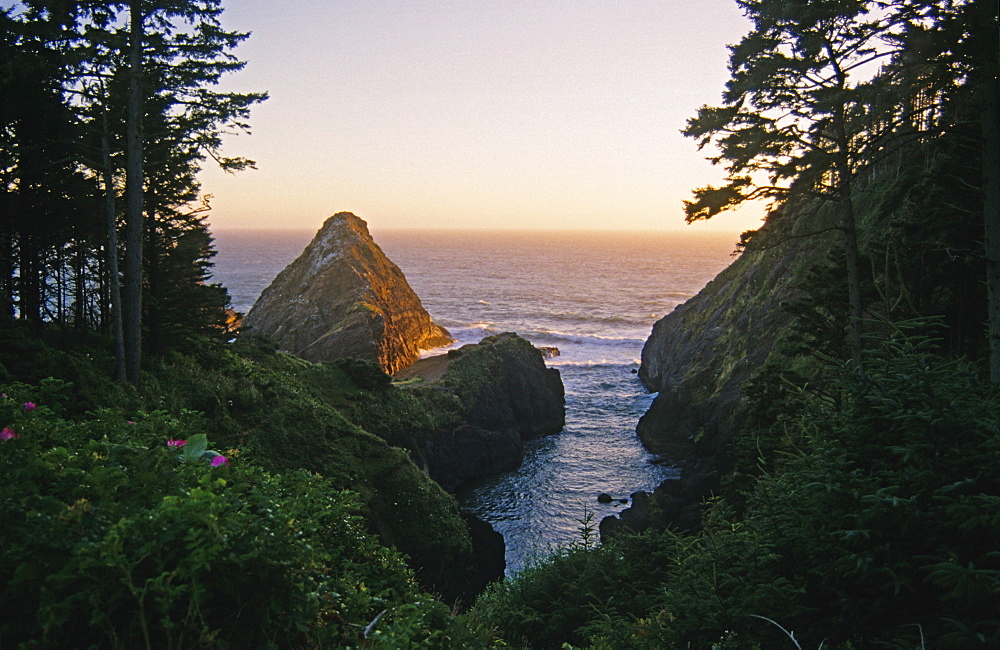 Devil's Elbow State Park, Oregon, United States of America, North America