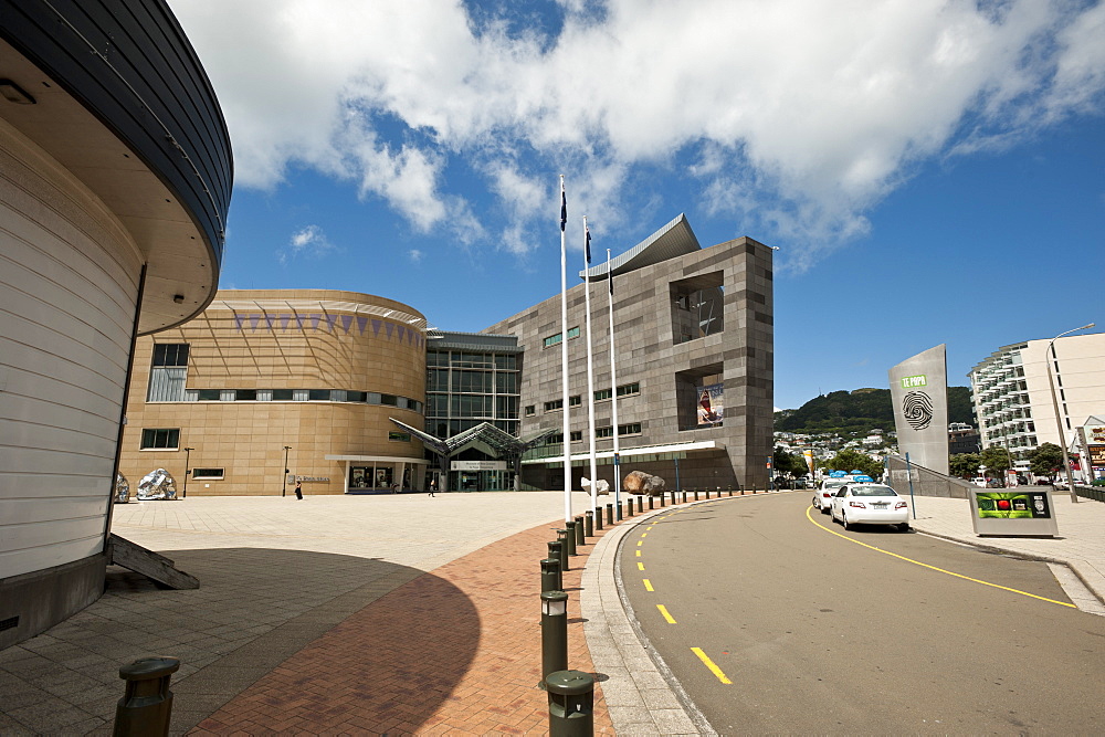 Te Papa museum, Wellington, North Island, New Zealand, Pacific