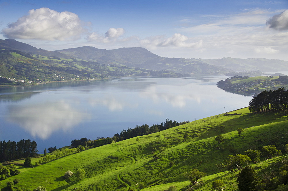 Otago Harbour, Otago Peninsula, Otago, South Island, New Zealand, Pacific