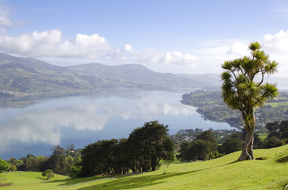 Otago Harbour, Otago Peninsula, Otago, South Island, New Zealand, Pacific