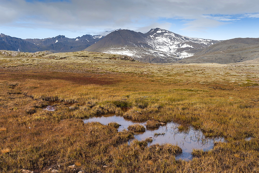 On the road to Joklasel, Iceland, Polar Regions 