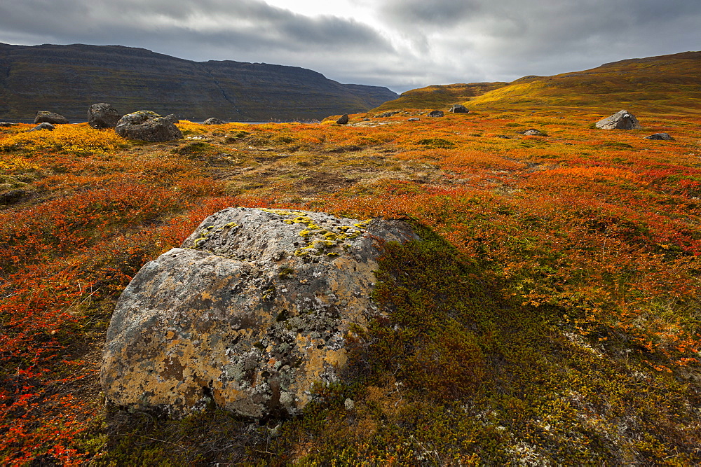 West Fjords, Iceland, Polar Regions 