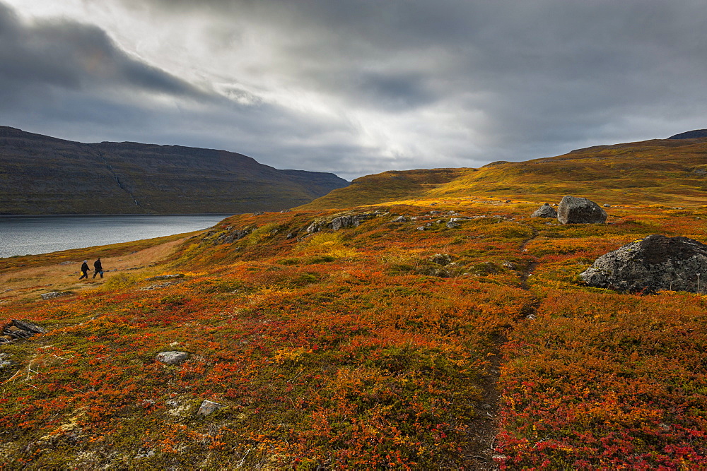 West Fjords, Iceland, Polar Regions 