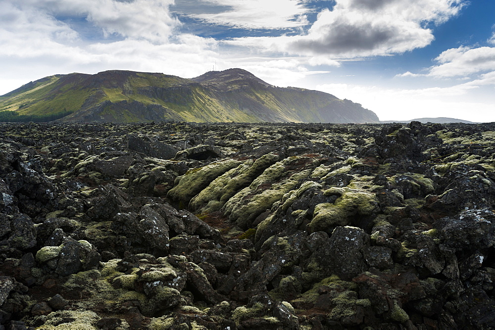 Reykjanes Peninsula, Iceland, Polar Regions 