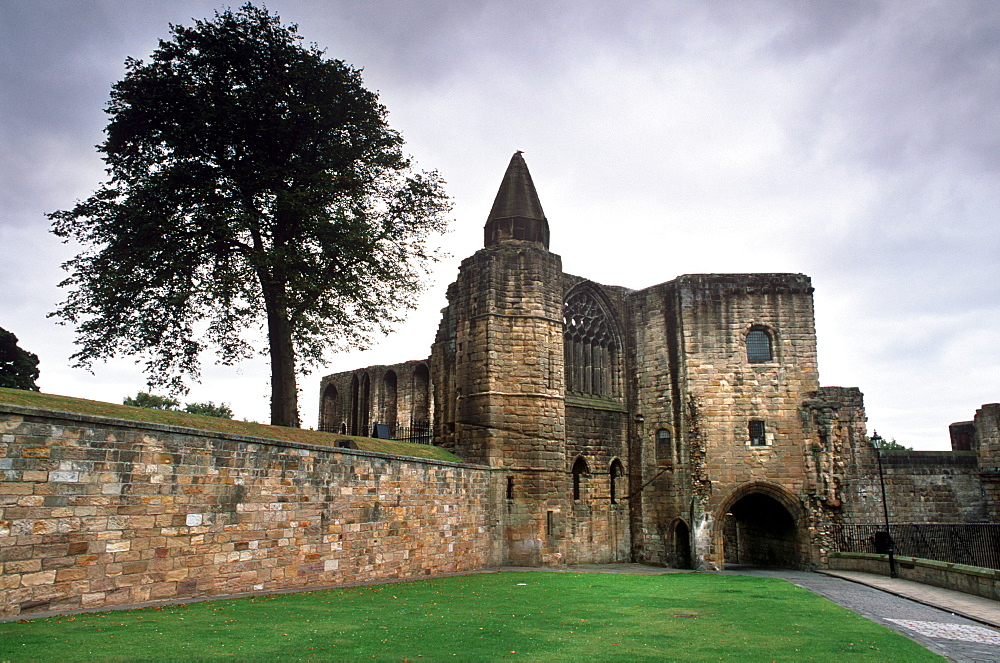 Refectory, Dunfermline Abbey and Palace, Fife, Scotland, United Kingdom, Europe