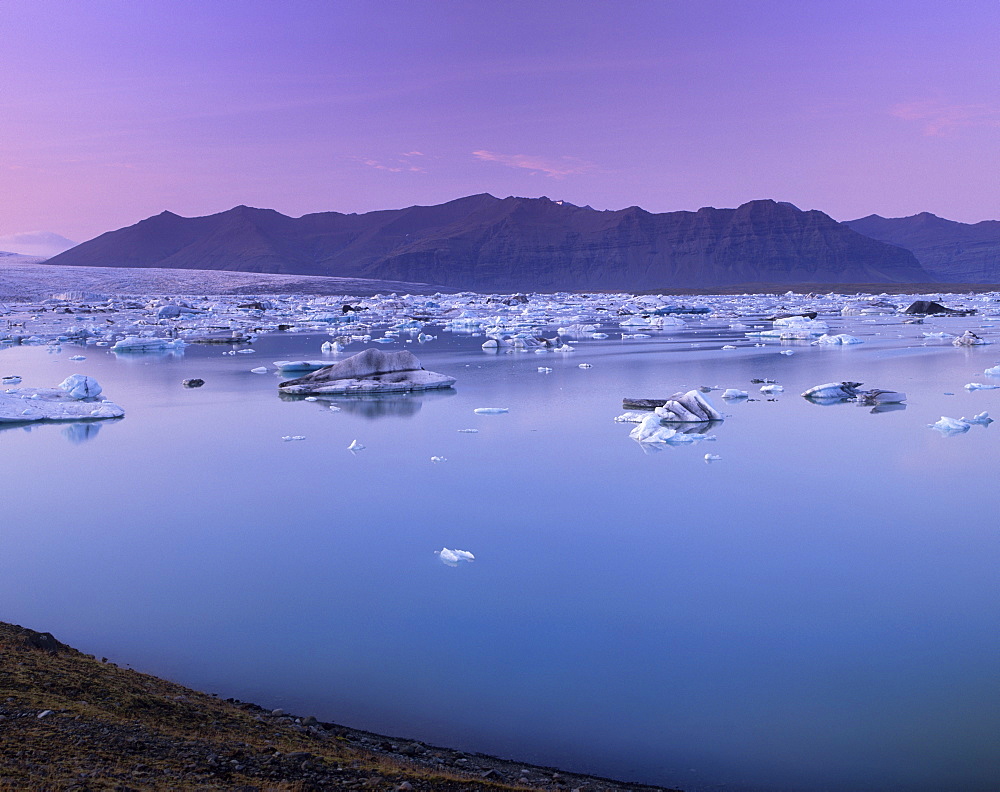 Icebergs in Jokulsarlon glacial lagoon, at sunset, Breidamerkurjokull (Vatnajokull) glacier in the distance, East Iceland, Polar Regions