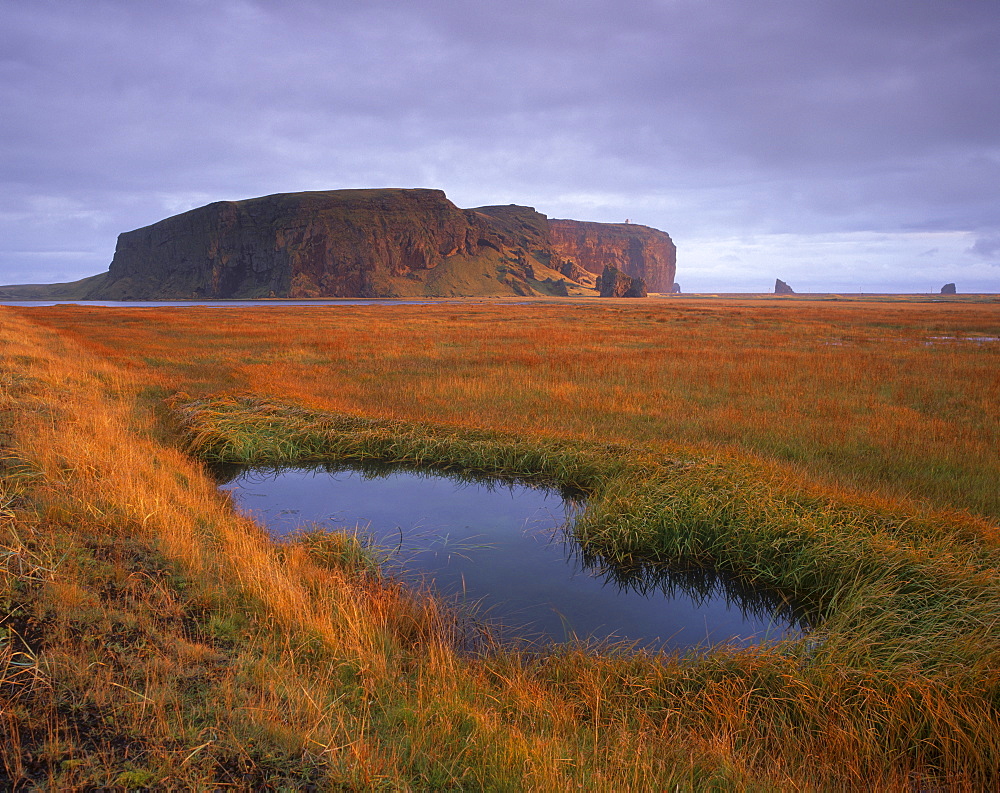 Dyrholaey inselberg and cliffs, southernmost point of Iceland, from the low-lying coast near Vik, Iceland, Polar Regions