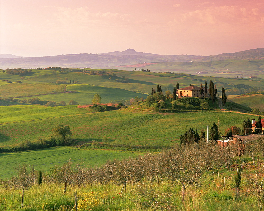 Landscape near San Quirico d'Orcia, Tuscany, Italy, Europe