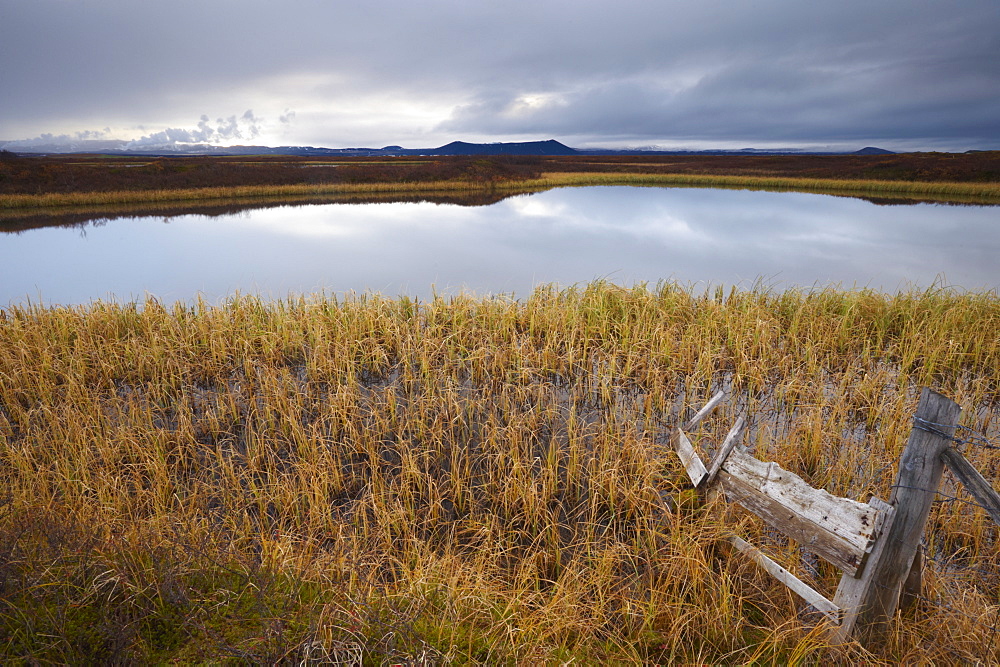 Lake Myvatn, bird protected area in autumn, north-west shore of lake, looking eastwards, Hverfjall volcano visible in the distance, Myvatn, north Iceland, Iceland, Polar Regions