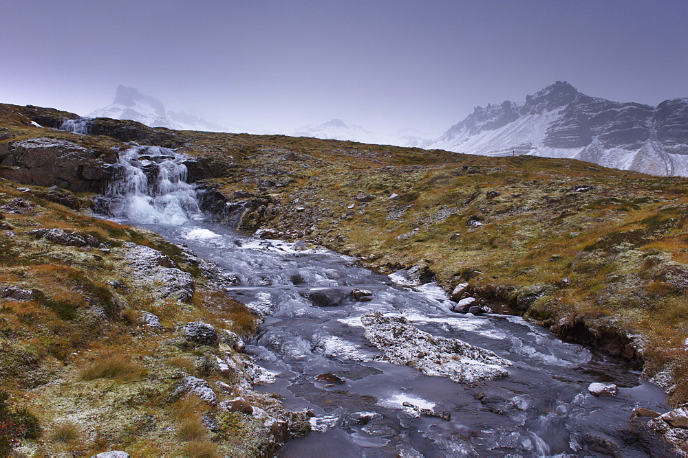 Frozen waterfall and stream in the East Fjords, near Neskaupstadur, Nordfjordur-Reydarfjordur, in winter, East Fjords, Iceland, Polar Regions