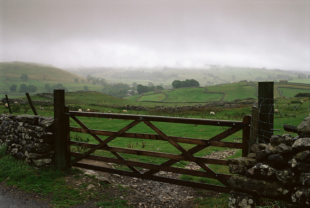 Farm gate and overcast skies near Malham, Yorkshire Dales National Park, Yorkshire, England, United Kingdom, Europe