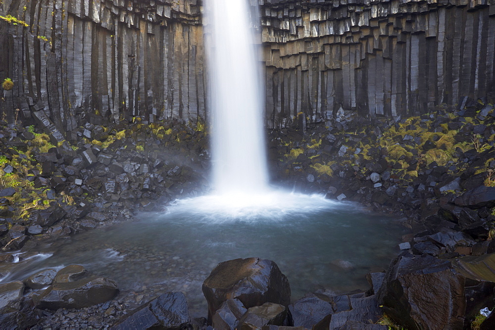 Svartifoss (Black Falls) waterfall, with overhanging black basalt columns, Skaftafell National Park, Iceland, Polar Regions