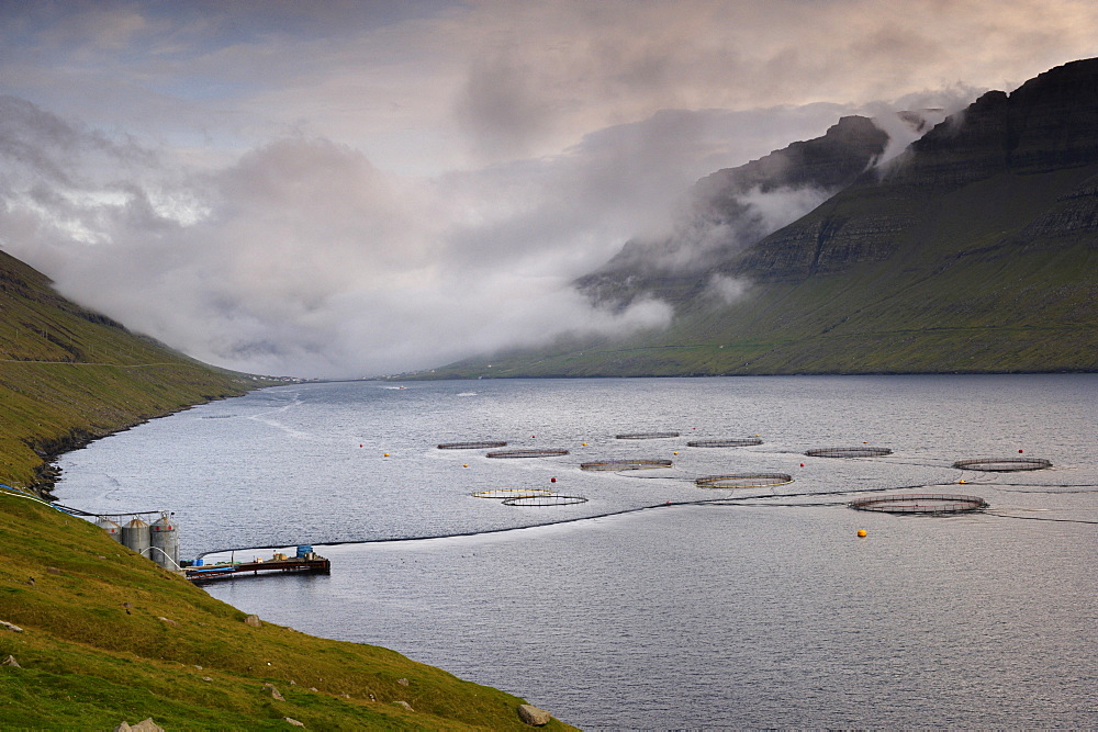 Salmon farming in Hvannassund, near Vidareidi, Vidoy, Nordoyar, Faroe Islands (Faroes), Denmark, Europe