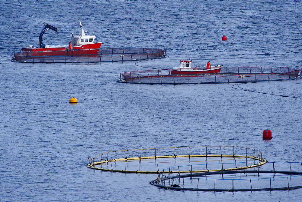 Salmon farming in Hvannassund, near Vidareidi, Vidoy, Nordoyar, Faroe islands (Faroes), Denmark, Europe