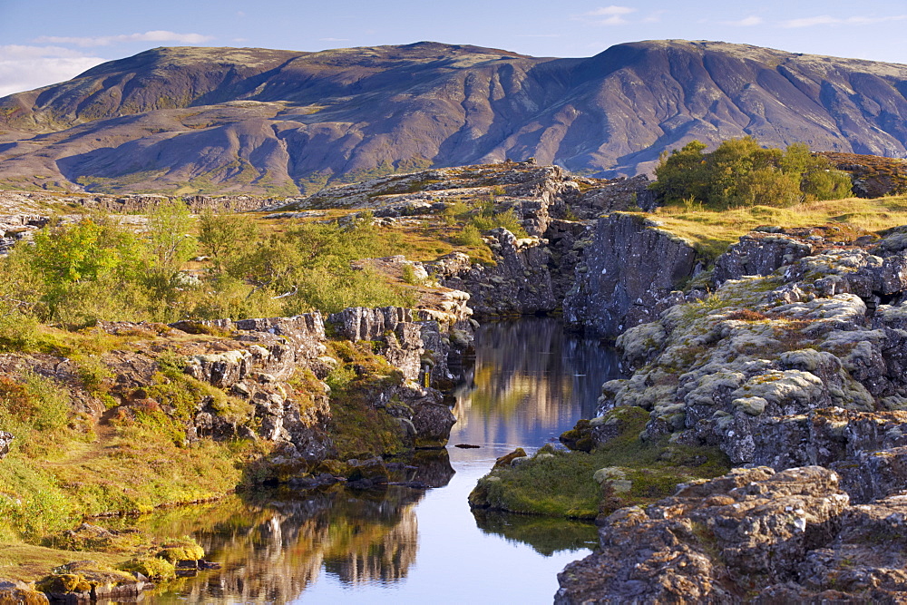 Flosagja (Flosi's Gorge), gorge filled with water in the lava fields between the European and American tectonic plates, Thingvellir National Park, UNESCO World Heritage Site, south-west Iceland (Sudurland), Iceland, Polar Regions