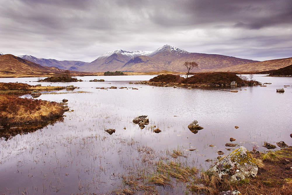 Lochan na h'Achlaise and Black Mount, Rannoch Moor, Highland, Scotland, United Kingdom, Europe