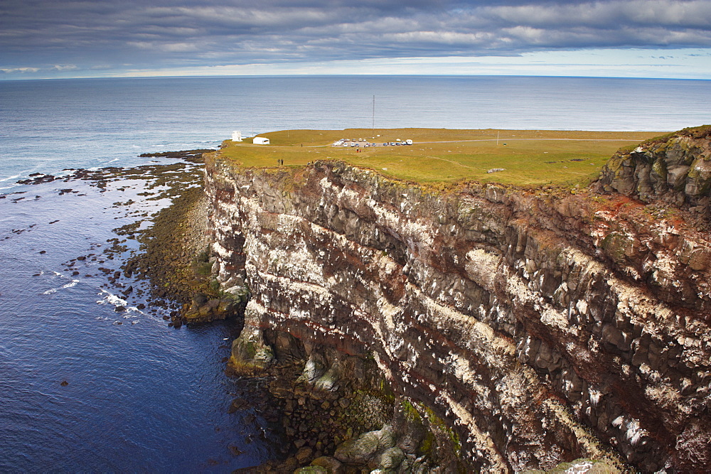 High cliffs rising to 400m at Latrabjarg, the largest bird colony in Europe, West Fjords region (Vestfirdir), Iceland, Polar Regions