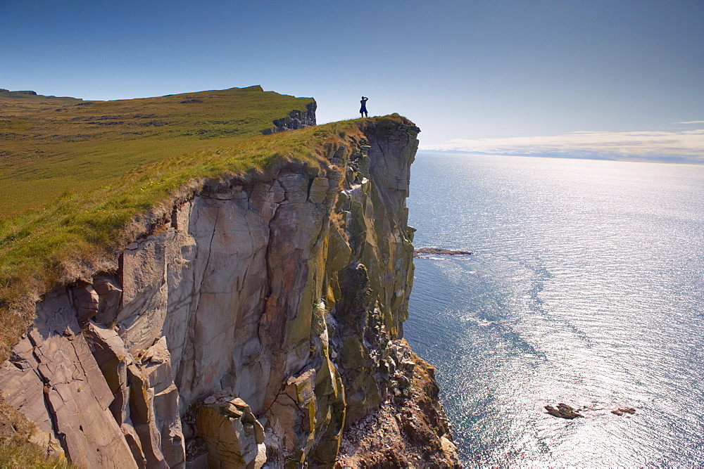 High cliffs rising to 400m at Latrabjarg, the largest bird colony in Europe, West Fjords region (Vestfirdir), Iceland, Polar Regions