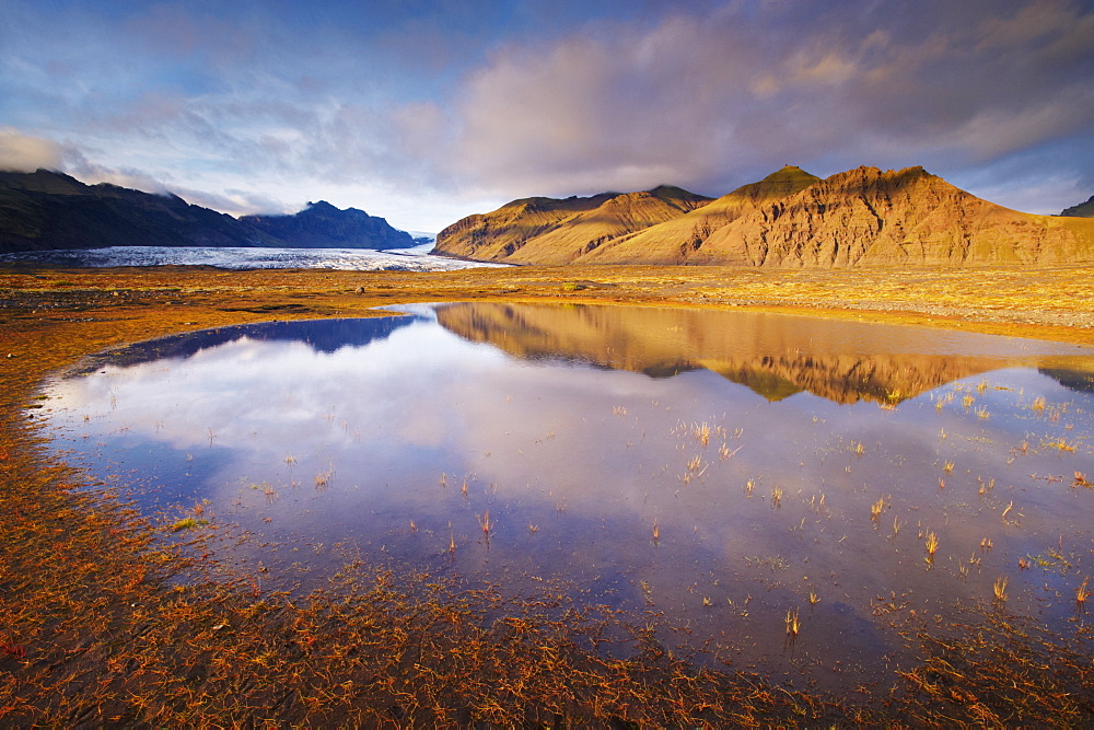 Skaftafellsjokull, impressive glacial tongue of the Vatnajokull ice cap in Skaftafell National Park, south-east Iceland (Austurland), Iceland, Polar Regions