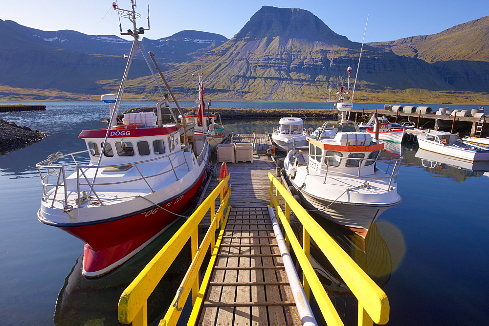 Eskifjordur village, Eskifjordur fjord, East Fjords region (Austurland), Iceland, Polar Regions