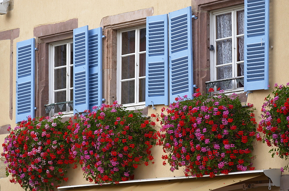 Traditional window flowerboxes and wooden shutters at Eguisheim, Alsatian Wine Road, Haut Rhin, Alsace, France, Europe