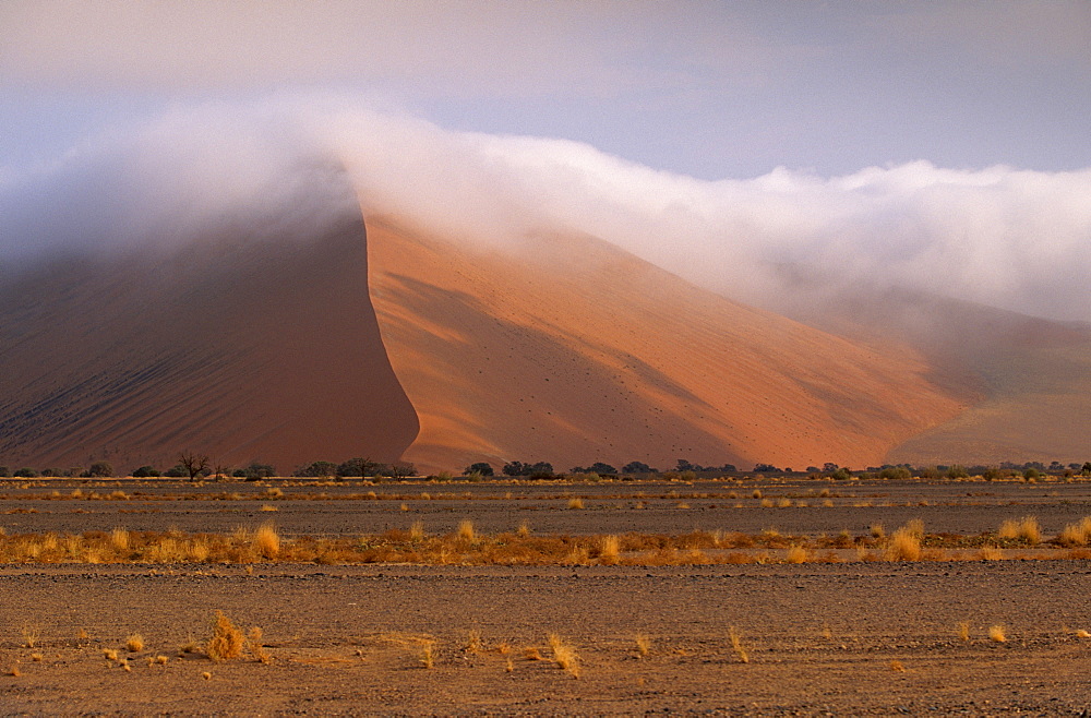 Early morning mist on red sand dunes rising to 300m, in Sossusvlei valley, Namib-Naukluft Park, Namibia, Africa