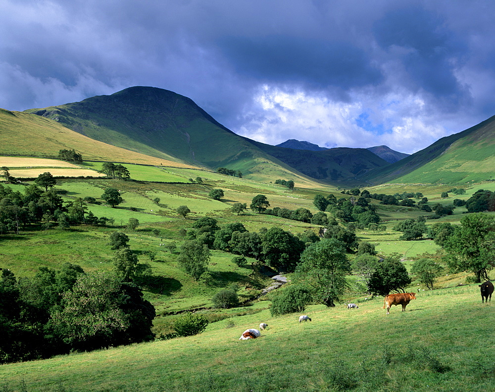 Keskadale and Derwent Fells near Keswick, Lake District National Park, Cumbria, England, United Kingdom, Europe