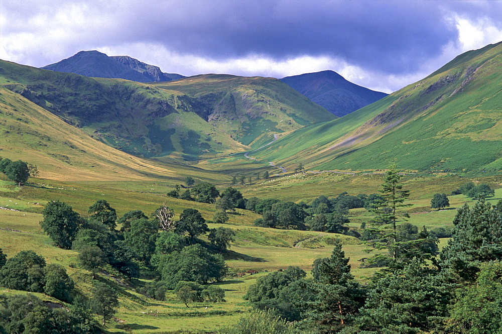 Keskadale and Derwent Fells near Keswick, Lake District National Park, Cumbria, England, United Kingdom, Europe