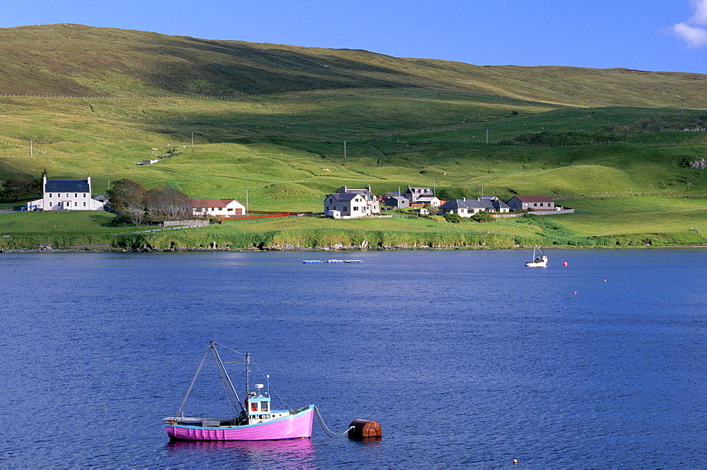 Pink fishing boat in Olna Firth near Voe, Mainland, Shetland Islands, Scotland, United Kingdom, Europe