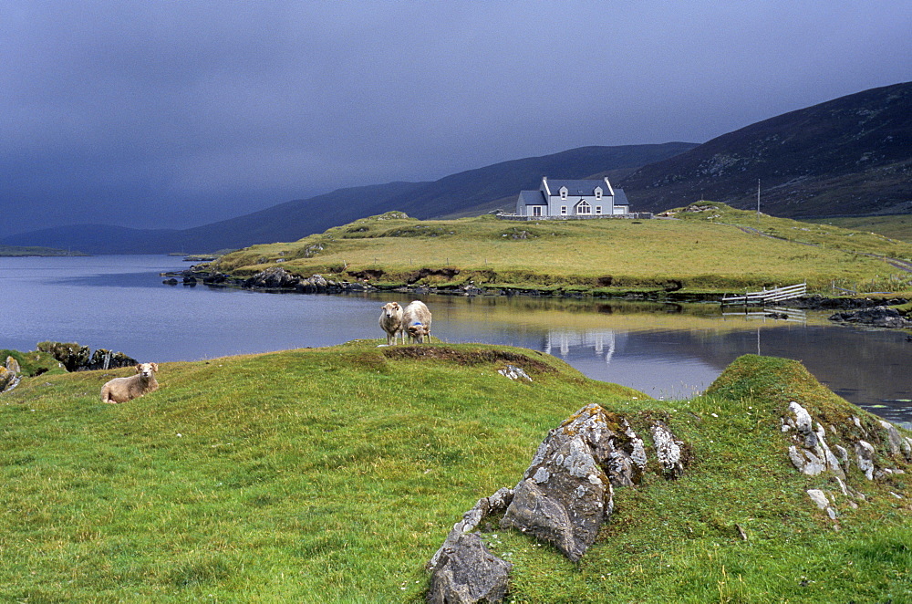 Hogaland, Whiteness, Mainland, Shetland Islands, Scotland, United Kingdom, Europe