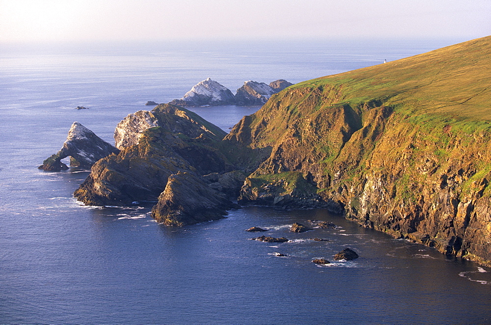 Cliffs of Hermaness Nature Reserve, looking north towards Vesta Skerry, Tipta Skerry gannetry, Muckle Flugga and its lighthouse in the distance, Unst, Shetland Islands, Scotland, United Kingdom, Europe