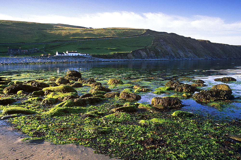 Norwick Beach and house, Unst, Shetland Islands, Scotland, United Kingdom, Europe