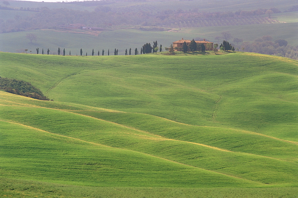 Landscape of the Crete area, near Siena, Tuscany, Italy, Europe