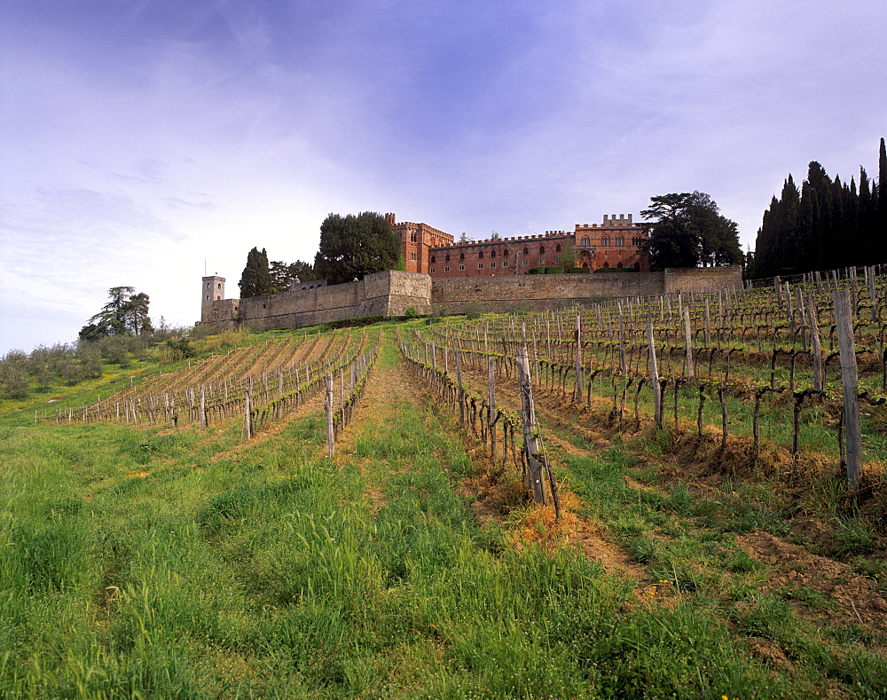 Castello di Brolio and famous vineyards, Brolio, Chianti, Tuscany, Italy, Europe