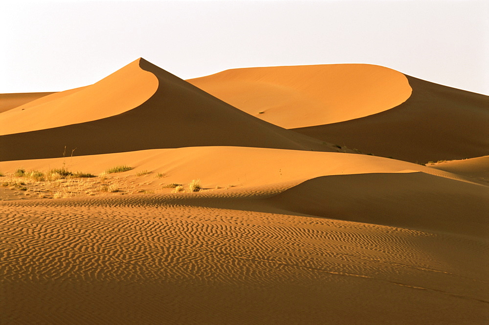 Red sand dunes, up to 300m, Sossusvlei, Namib-Naukluft Desert Park, Namibia, Africa