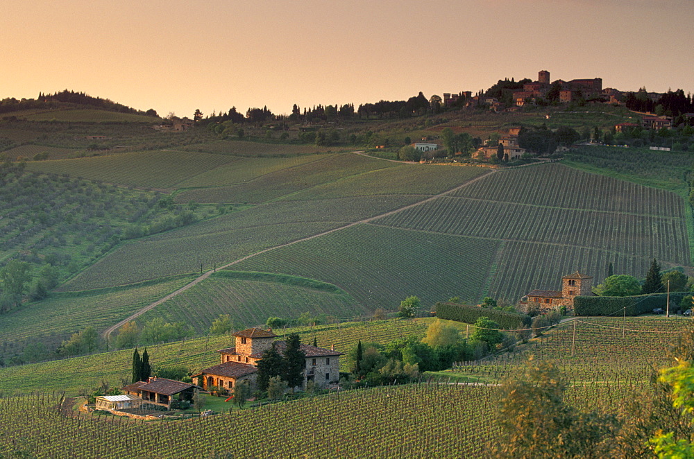 Sunset over vineyards near Panzano in Chianti, Chianti, Tuscany, Italy, Europe