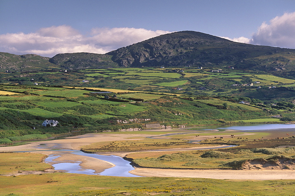 Barley Cove, near Dough, Mizen peninsula, County Cork, Munster, Republic of Ireland, Europe