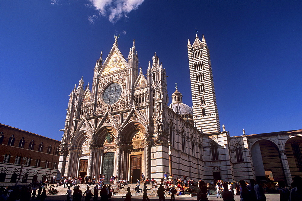 Duomo dating from between the 12th and 14th centuries, Siena, UNESCO World Heritage Site, Tuscany, Italy, Europe