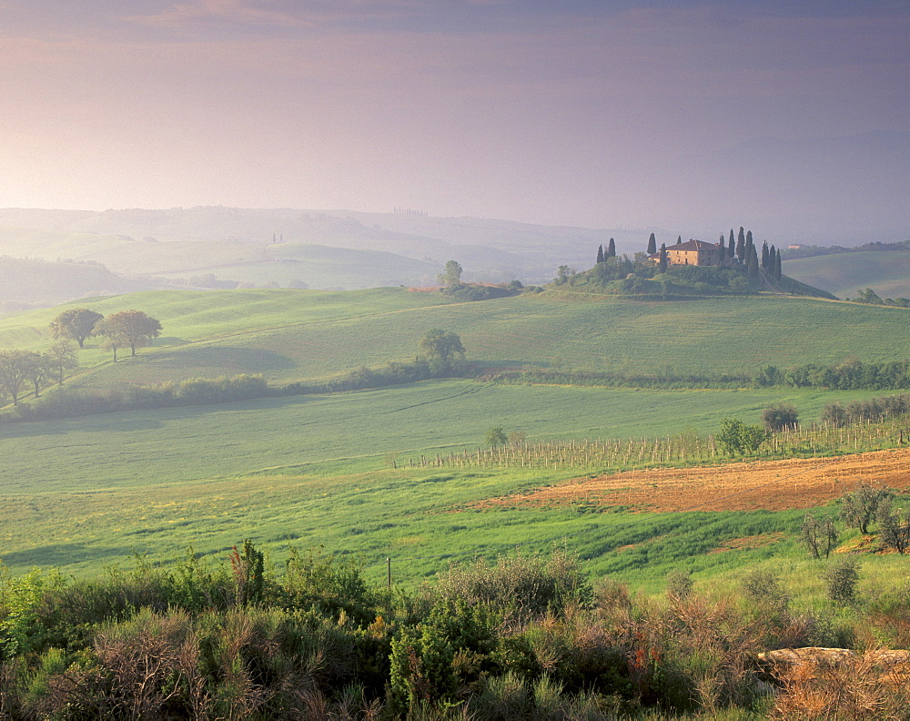 Landscape near San Quirico d'Orcia, Val d'Orcia, Tuscany, Italy, Europe