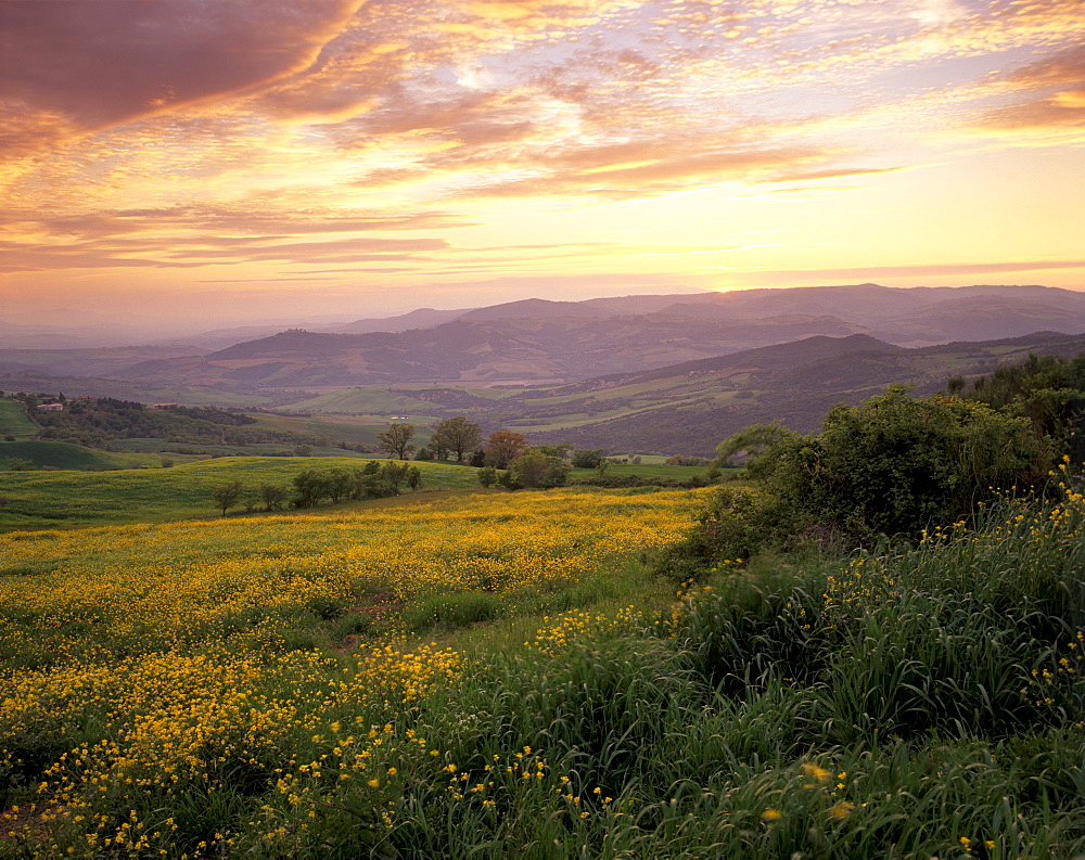 Sunset over Val d'Orcia, near Castiglione d'Orcia, Tuscany, Italy, Europe