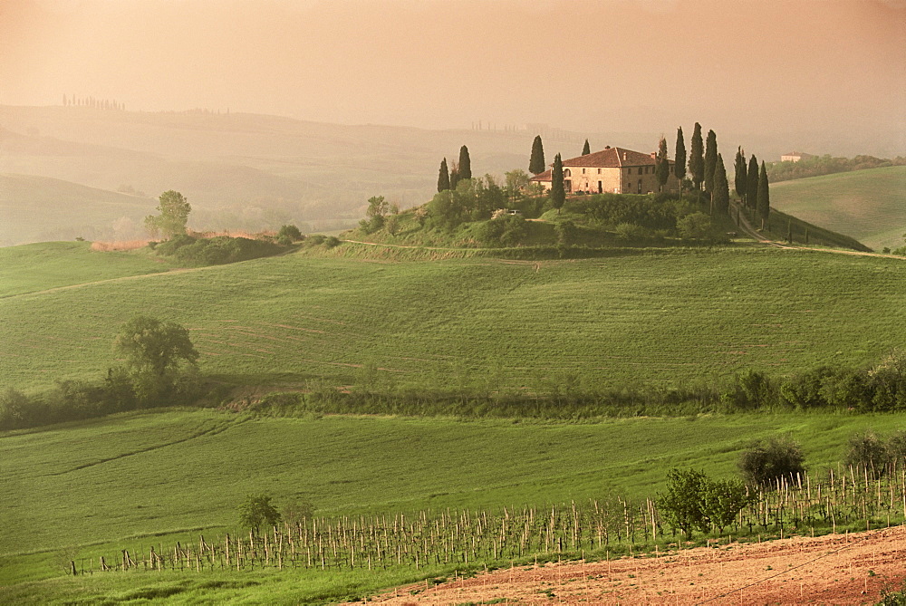 Landscape near San Quirico d'Orcia, Tuscany, Italy, Europe