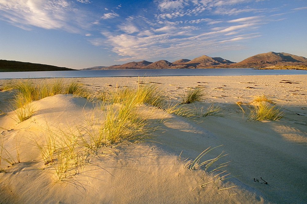 Marram grass and beach near Luskentyre, looking towards North Harris Forest Hills, South Harris, Outer Hebrides, Scotland, United Kingdom, Europe